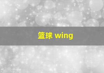 篮球 wing